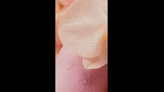 LUSH CLOUD Blooming Musk - texture produit
